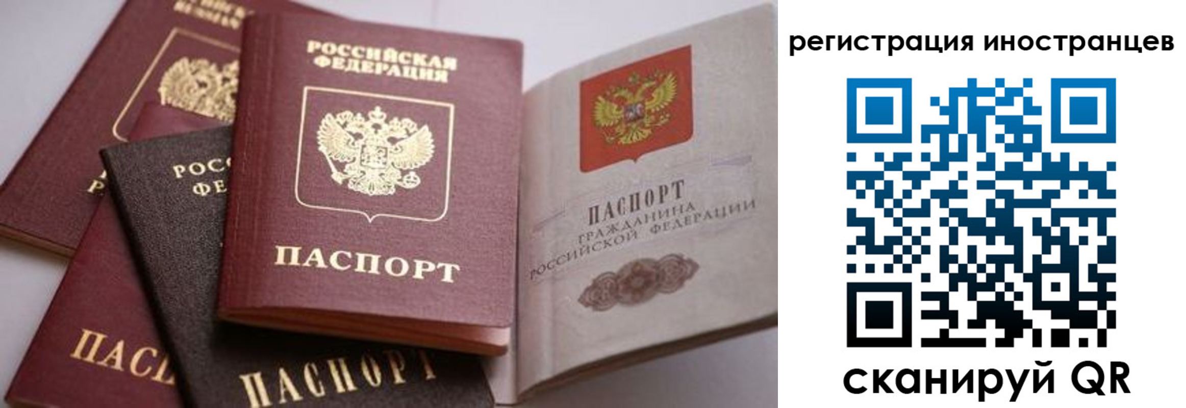 прописка штамп в Камызяке